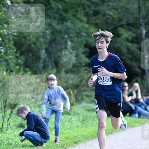 27.09.2026 - 35. Volkslauf durch das schöne Alstertal Dr. Thomas Lammeyer http://msf.ph/oto/10570248 27.09.2026 11:11:11 Laufen 3385 meine-sportfotos.de