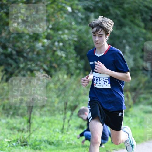 27.09.2026 - 35. Volkslauf durch das schöne Alstertal Dr. Thomas Lammeyer http://msf.ph/oto/10570253 27.09.2026 11:11:12 Laufen 3385 meine-sportfotos.de