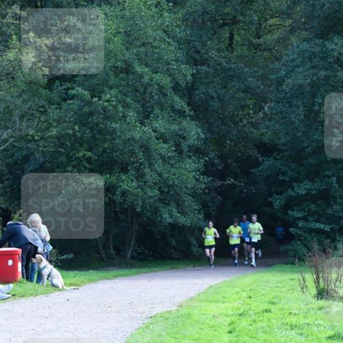 27.09.2026 - 35. Volkslauf durch das schöne Alstertal Dr. Thomas Lammeyer http://msf.ph/oto/10570263 27.09.2026 11:11:13 Laufen  meine-sportfotos.de