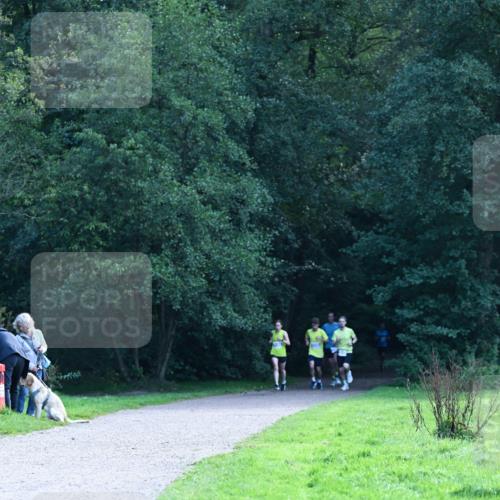 27.09.2026 - 35. Volkslauf durch das schöne Alstertal Dr. Thomas Lammeyer http://msf.ph/oto/10570264 27.09.2026 11:11:13 Laufen  meine-sportfotos.de