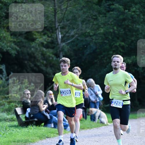 27.09.2026 - 35. Volkslauf durch das schöne Alstertal Dr. Thomas Lammeyer http://msf.ph/oto/10570278 27.09.2026 11:11:21 Laufen 3309, 86, 3288 meine-sportfotos.de