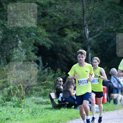 27.09.2026 - 35. Volkslauf durch das schöne Alstertal Dr. Thomas Lammeyer http://msf.ph/oto/10570280 27.09.2026 11:11:22 Laufen 3309, 186 meine-sportfotos.de