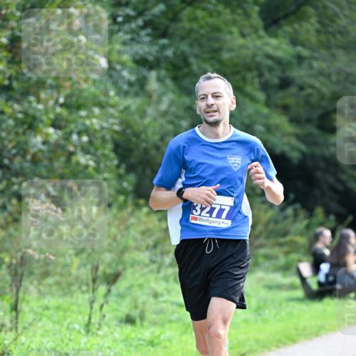 27.09.2026 - 35. Volkslauf durch das schöne Alstertal Dr. Thomas Lammeyer http://msf.ph/oto/10570365 27.09.2026 11:12:17 Laufen 3277 meine-sportfotos.de