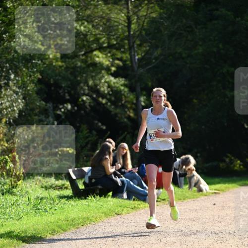 27.09.2026 - 35. Volkslauf durch das schöne Alstertal Dr. Thomas Lammeyer http://msf.ph/oto/10570387 27.09.2026 11:12:49 Laufen  meine-sportfotos.de