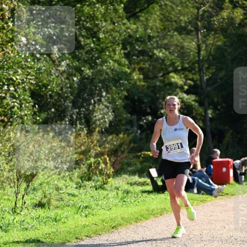 27.09.2026 - 35. Volkslauf durch das schöne Alstertal Dr. Thomas Lammeyer http://msf.ph/oto/10570394 27.09.2026 11:12:50 Laufen 3991 meine-sportfotos.de