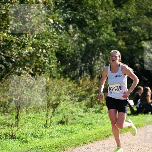 27.09.2026 - 35. Volkslauf durch das schöne Alstertal Dr. Thomas Lammeyer http://msf.ph/oto/10570399 27.09.2026 11:12:51 Laufen 3991 meine-sportfotos.de