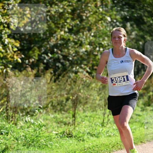 27.09.2026 - 35. Volkslauf durch das schöne Alstertal Dr. Thomas Lammeyer http://msf.ph/oto/10570405 27.09.2026 11:12:51 Laufen 3991 meine-sportfotos.de