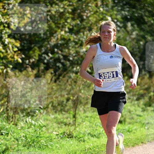 27.09.2026 - 35. Volkslauf durch das schöne Alstertal Dr. Thomas Lammeyer http://msf.ph/oto/10570406 27.09.2026 11:12:52 Laufen 3991 meine-sportfotos.de