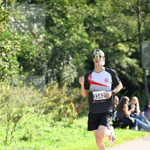 27.09.2026 - 35. Volkslauf durch das schöne Alstertal Dr. Thomas Lammeyer http://msf.ph/oto/10570431 27.09.2026 11:13:04 Laufen 3342 meine-sportfotos.de