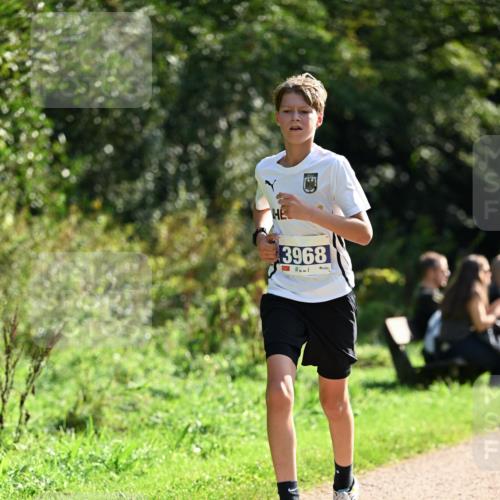 27.09.2026 - 35. Volkslauf durch das schöne Alstertal Dr. Thomas Lammeyer http://msf.ph/oto/10570444 27.09.2026 11:13:20 Laufen 3968 meine-sportfotos.de