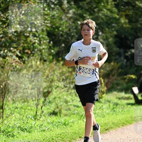 27.09.2026 - 35. Volkslauf durch das schöne Alstertal Dr. Thomas Lammeyer http://msf.ph/oto/10570447 27.09.2026 11:13:20 Laufen 24, 3968 meine-sportfotos.de