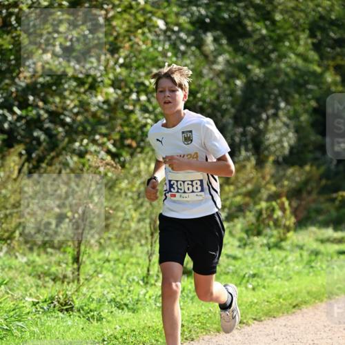 27.09.2026 - 35. Volkslauf durch das schöne Alstertal Dr. Thomas Lammeyer http://msf.ph/oto/10570450 27.09.2026 11:13:21 Laufen 94, 3968 meine-sportfotos.de