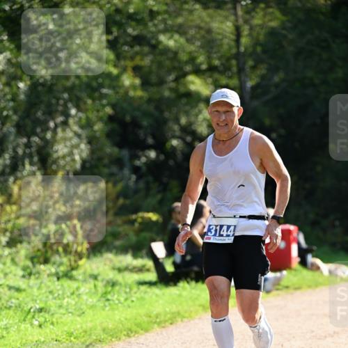 27.09.2026 - 35. Volkslauf durch das schöne Alstertal Dr. Thomas Lammeyer http://msf.ph/oto/10570461 27.09.2026 11:13:24 Laufen 3144 meine-sportfotos.de
