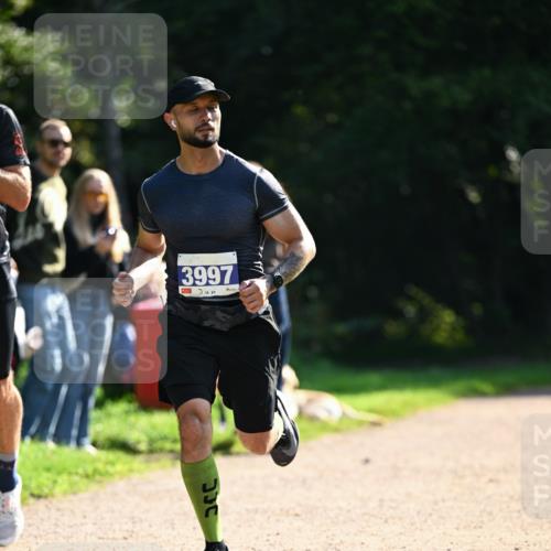 27.09.2026 - 35. Volkslauf durch das schöne Alstertal Dr. Thomas Lammeyer http://msf.ph/oto/10570473 27.09.2026 11:13:42 Laufen 3997 meine-sportfotos.de