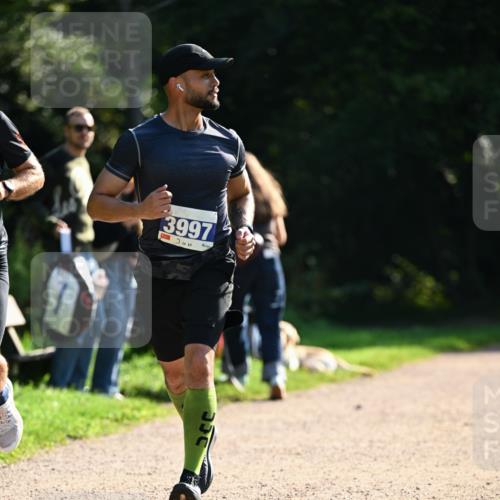 27.09.2026 - 35. Volkslauf durch das schöne Alstertal Dr. Thomas Lammeyer http://msf.ph/oto/10570475 27.09.2026 11:13:42 Laufen 3997 meine-sportfotos.de