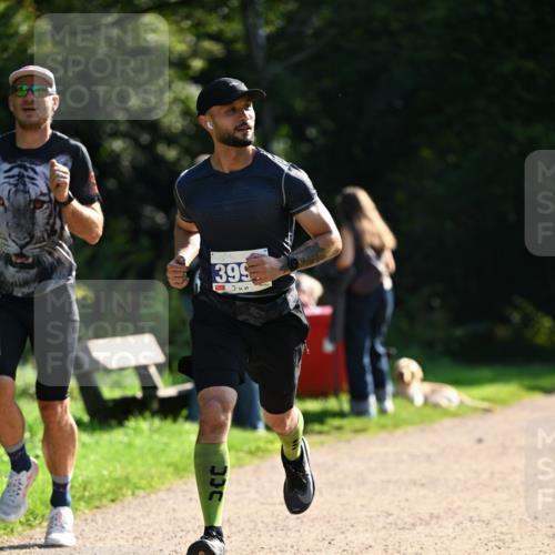 27.09.2026 - 35. Volkslauf durch das schöne Alstertal Dr. Thomas Lammeyer http://msf.ph/oto/10570478 27.09.2026 11:13:42 Laufen 399 meine-sportfotos.de