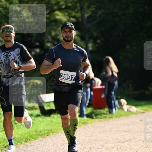 27.09.2026 - 35. Volkslauf durch das schöne Alstertal Dr. Thomas Lammeyer http://msf.ph/oto/10570480 27.09.2026 11:13:42 Laufen 3997 meine-sportfotos.de