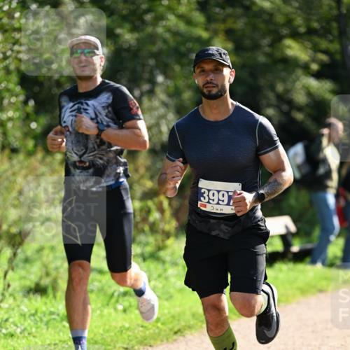 27.09.2026 - 35. Volkslauf durch das schöne Alstertal Dr. Thomas Lammeyer http://msf.ph/oto/10570487 27.09.2026 11:13:43 Laufen 3997 meine-sportfotos.de