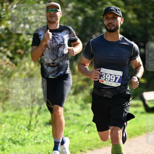27.09.2026 - 35. Volkslauf durch das schöne Alstertal Dr. Thomas Lammeyer http://msf.ph/oto/10570489 27.09.2026 11:13:43 Laufen 3997 meine-sportfotos.de