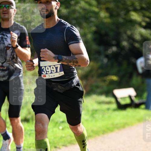 27.09.2026 - 35. Volkslauf durch das schöne Alstertal Dr. Thomas Lammeyer http://msf.ph/oto/10570492 27.09.2026 11:13:44 Laufen 3997 meine-sportfotos.de