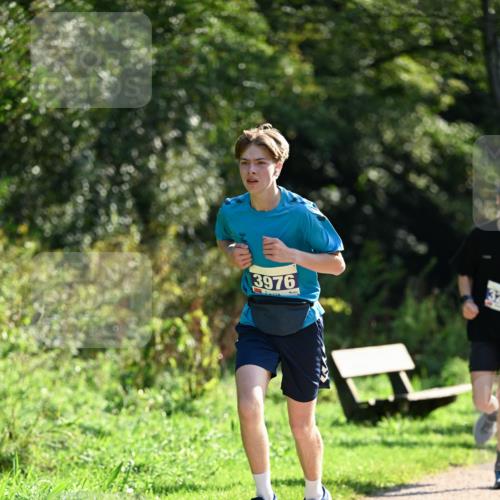 27.09.2026 - 35. Volkslauf durch das schöne Alstertal Dr. Thomas Lammeyer http://msf.ph/oto/10570516 27.09.2026 11:13:53 Laufen 3976 meine-sportfotos.de