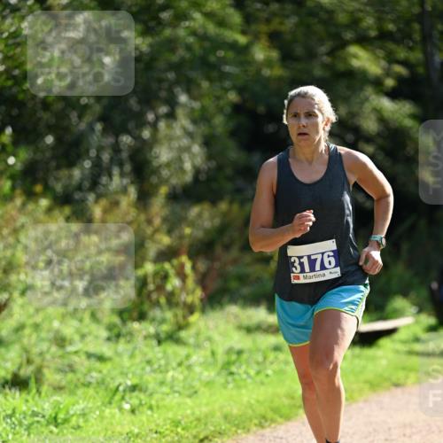27.09.2026 - 35. Volkslauf durch das schöne Alstertal Dr. Thomas Lammeyer http://msf.ph/oto/10570575 27.09.2026 11:14:14 Laufen 3176 meine-sportfotos.de