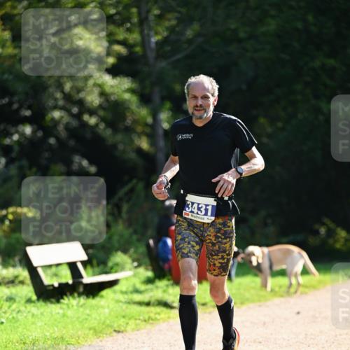 27.09.2026 - 35. Volkslauf durch das schöne Alstertal Dr. Thomas Lammeyer http://msf.ph/oto/10570595 27.09.2026 11:14:21 Laufen 3431 meine-sportfotos.de