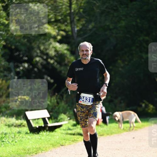 27.09.2026 - 35. Volkslauf durch das schöne Alstertal Dr. Thomas Lammeyer http://msf.ph/oto/10570597 27.09.2026 11:14:21 Laufen 3431 meine-sportfotos.de