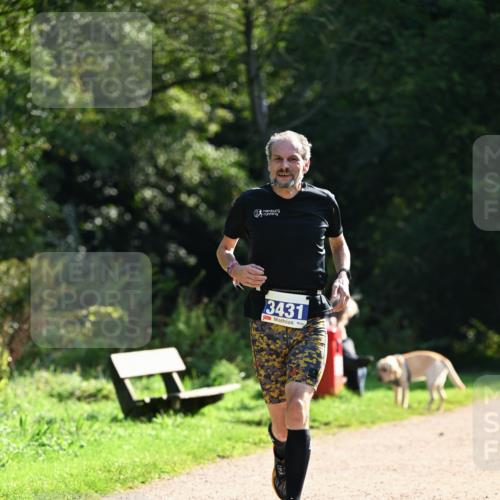 27.09.2026 - 35. Volkslauf durch das schöne Alstertal Dr. Thomas Lammeyer http://msf.ph/oto/10570598 27.09.2026 11:14:22 Laufen 3431 meine-sportfotos.de
