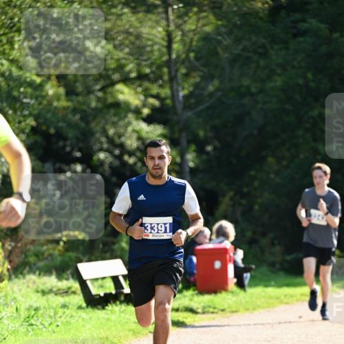 27.09.2026 - 35. Volkslauf durch das schöne Alstertal Dr. Thomas Lammeyer http://msf.ph/oto/10570651 27.09.2026 11:14:39 Laufen 3391 meine-sportfotos.de
