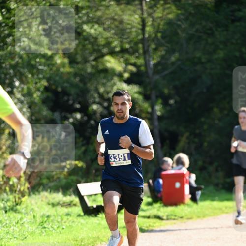 27.09.2026 - 35. Volkslauf durch das schöne Alstertal Dr. Thomas Lammeyer http://msf.ph/oto/10570652 27.09.2026 11:14:39 Laufen 3391 meine-sportfotos.de