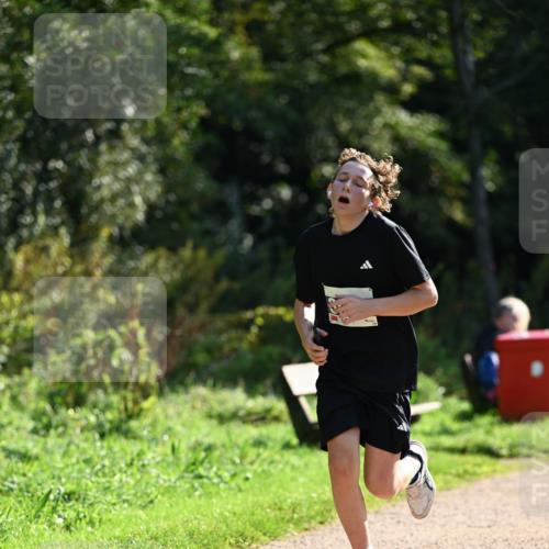 27.09.2026 - 35. Volkslauf durch das schöne Alstertal Dr. Thomas Lammeyer http://msf.ph/oto/10570680 27.09.2026 11:15:05 Laufen  meine-sportfotos.de