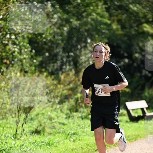 27.09.2026 - 35. Volkslauf durch das schöne Alstertal Dr. Thomas Lammeyer http://msf.ph/oto/10570688 27.09.2026 11:15:06 Laufen 395 meine-sportfotos.de