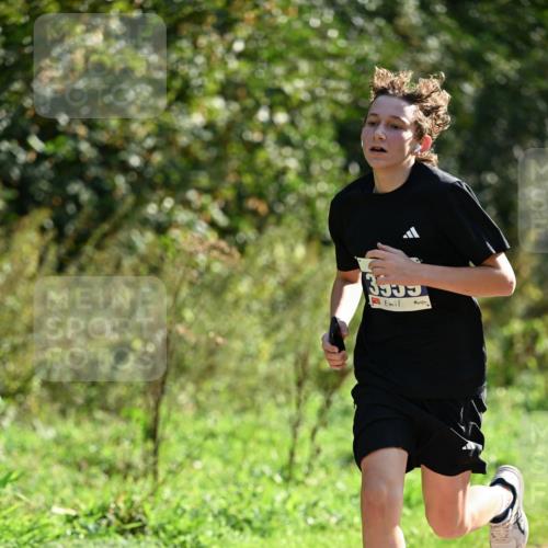27.09.2026 - 35. Volkslauf durch das schöne Alstertal Dr. Thomas Lammeyer http://msf.ph/oto/10570694 27.09.2026 11:15:06 Laufen  meine-sportfotos.de