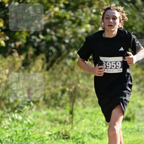 27.09.2026 - 35. Volkslauf durch das schöne Alstertal Dr. Thomas Lammeyer http://msf.ph/oto/10570697 27.09.2026 11:15:07 Laufen 3959 meine-sportfotos.de