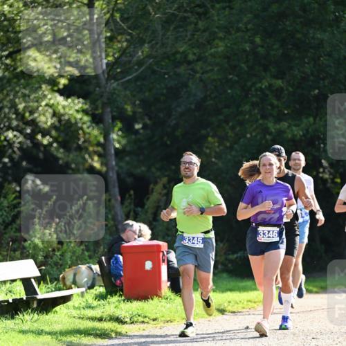 27.09.2026 - 35. Volkslauf durch das schöne Alstertal Dr. Thomas Lammeyer http://msf.ph/oto/10570698 27.09.2026 11:15:17 Laufen 3345, 3346 meine-sportfotos.de