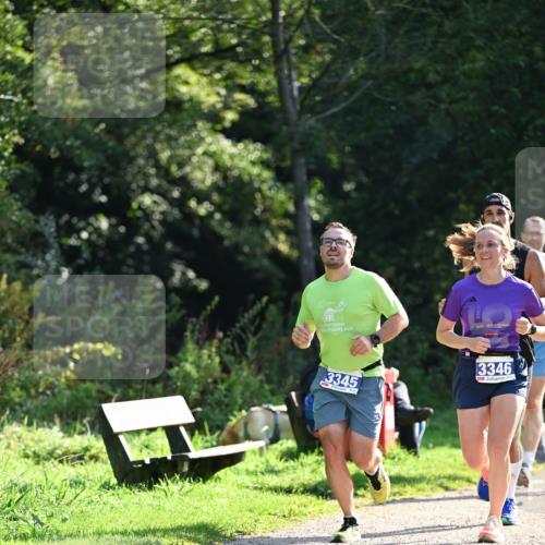 27.09.2026 - 35. Volkslauf durch das schöne Alstertal Dr. Thomas Lammeyer http://msf.ph/oto/10570705 27.09.2026 11:15:17 Laufen 20, 3345, 3346 meine-sportfotos.de
