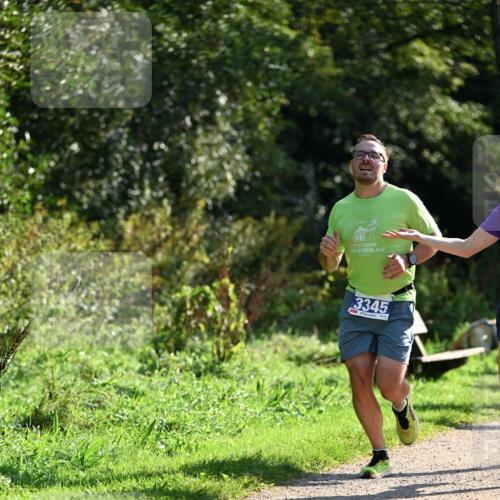 27.09.2026 - 35. Volkslauf durch das schöne Alstertal Dr. Thomas Lammeyer http://msf.ph/oto/10570720 27.09.2026 11:15:19 Laufen 10, 3345 meine-sportfotos.de