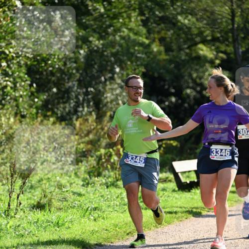 27.09.2026 - 35. Volkslauf durch das schöne Alstertal Dr. Thomas Lammeyer http://msf.ph/oto/10570728 27.09.2026 11:15:19 Laufen 20, 302, 3345, 3346 meine-sportfotos.de