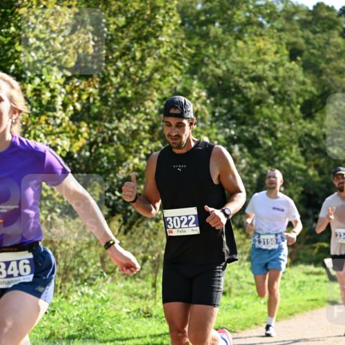 27.09.2026 - 35. Volkslauf durch das schöne Alstertal Dr. Thomas Lammeyer http://msf.ph/oto/10570744 27.09.2026 11:15:22 Laufen 346, 3022, 3150, 334 meine-sportfotos.de