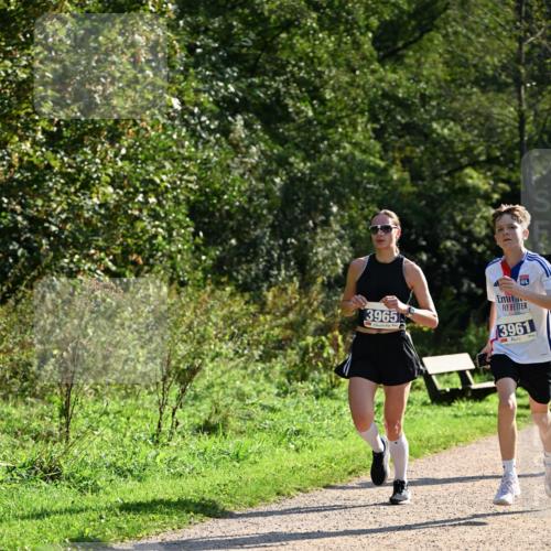 27.09.2026 - 35. Volkslauf durch das schöne Alstertal Dr. Thomas Lammeyer http://msf.ph/oto/10570778 27.09.2026 11:15:28 Laufen 3965, 3961 meine-sportfotos.de