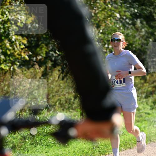 27.09.2026 - 35. Volkslauf durch das schöne Alstertal Dr. Thomas Lammeyer http://msf.ph/oto/10570803 27.09.2026 11:15:32 Laufen 3211 meine-sportfotos.de