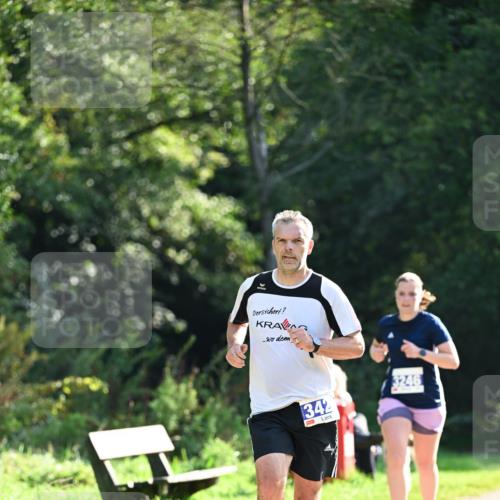27.09.2026 - 35. Volkslauf durch das schöne Alstertal Dr. Thomas Lammeyer http://msf.ph/oto/10570946 27.09.2026 11:16:28 Laufen 342, 3246 meine-sportfotos.de