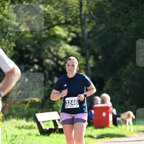 27.09.2026 - 35. Volkslauf durch das schöne Alstertal Dr. Thomas Lammeyer http://msf.ph/oto/10570963 27.09.2026 11:16:30 Laufen 3246 meine-sportfotos.de