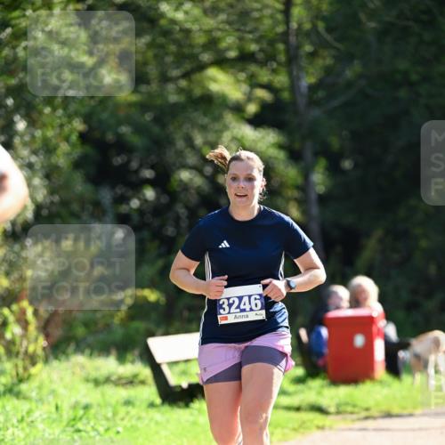 27.09.2026 - 35. Volkslauf durch das schöne Alstertal Dr. Thomas Lammeyer http://msf.ph/oto/10570965 27.09.2026 11:16:30 Laufen 3246 meine-sportfotos.de