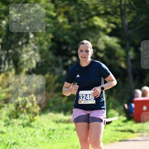 27.09.2026 - 35. Volkslauf durch das schöne Alstertal Dr. Thomas Lammeyer http://msf.ph/oto/10570969 27.09.2026 11:16:31 Laufen 3246 meine-sportfotos.de