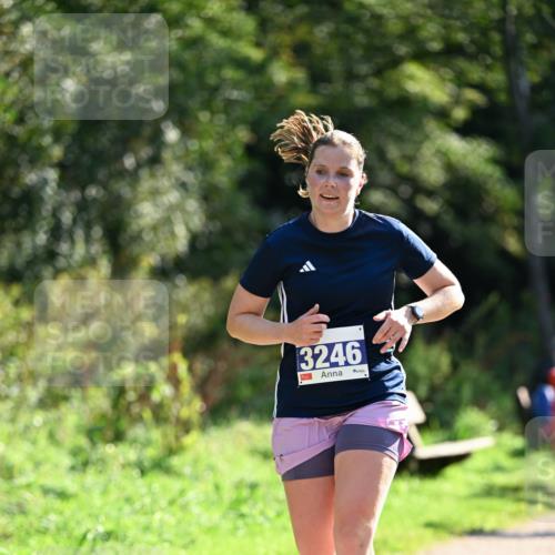 27.09.2026 - 35. Volkslauf durch das schöne Alstertal Dr. Thomas Lammeyer http://msf.ph/oto/10570972 27.09.2026 11:16:31 Laufen 3246 meine-sportfotos.de
