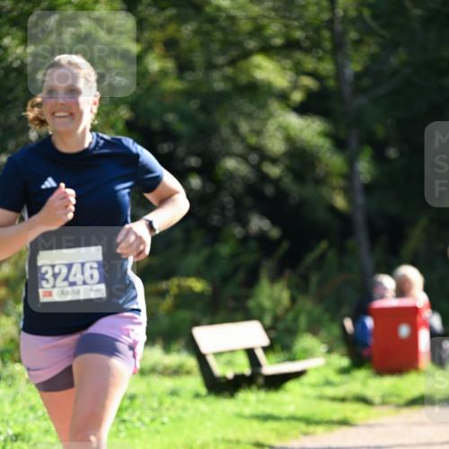 27.09.2026 - 35. Volkslauf durch das schöne Alstertal Dr. Thomas Lammeyer http://msf.ph/oto/10570977 27.09.2026 11:16:32 Laufen 3246 meine-sportfotos.de