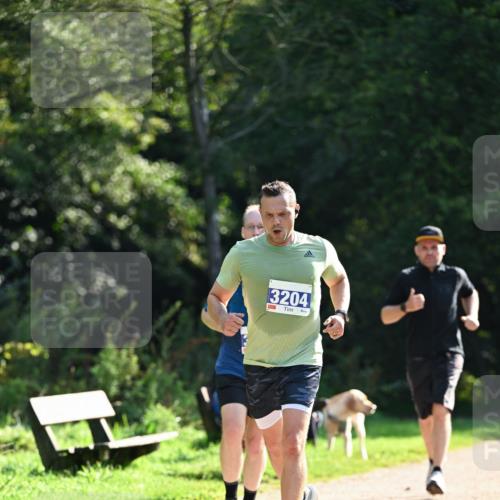 27.09.2026 - 35. Volkslauf durch das schöne Alstertal Dr. Thomas Lammeyer http://msf.ph/oto/10570983 27.09.2026 11:16:33 Laufen 3204 meine-sportfotos.de