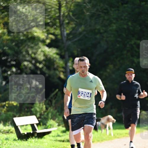 27.09.2026 - 35. Volkslauf durch das schöne Alstertal Dr. Thomas Lammeyer http://msf.ph/oto/10570984 27.09.2026 11:16:33 Laufen 3204 meine-sportfotos.de